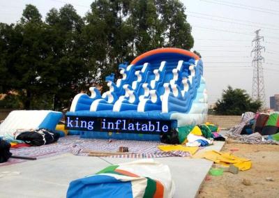 China Fantasy Splendid Ocean Water Park / Outdoor Inflatable Water Slides With Cartoon Printing for sale
