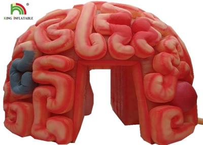 China Da réplica inflável do cérebro do gigante 4m órgãos artificiais para GV educacional EN71 à venda