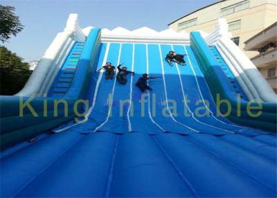 China Width Grey Blue Inflatable Dry Slide Waterproof Tarpaulin Double Climbing Ladders for sale