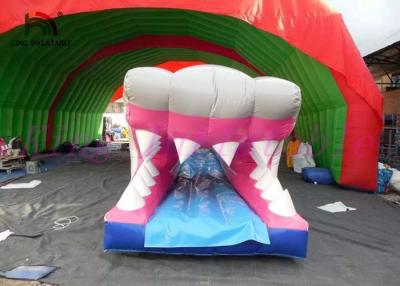 China Shark PVC Inflatable Water Slide , Custom Amazing Thrilling Mini City Slide for sale