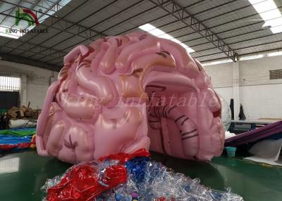 China Customized Size Inflatable Event Tent Simulation Brain Model For Medical Show for sale