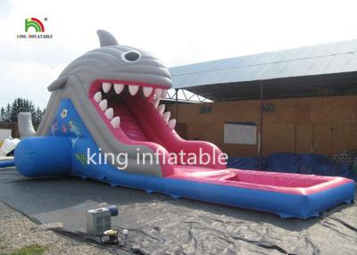 China 6m High Shark Inflatable Water Slide With Pool / Small Blow Up Slide For Kids for sale