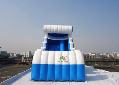 China Summer Jumbo Inflatable Water Slides For Children Environmentally Friendly for sale