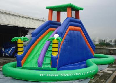 China Double Inflatable Water Slide Among Pool PVC Tarpaulin Material Water Park Slide for sale