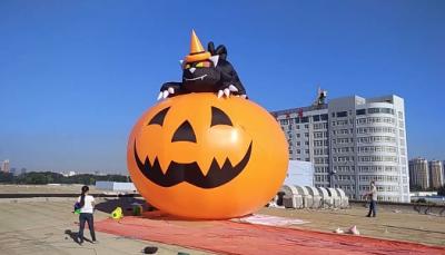 China 4m Inflatable Advertising Products Halloween Pumpkin With Black Cat for sale
