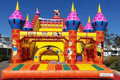 China Campo de jogos inflável do leão-de-chácara de encerado feito sob encomenda do PVC de Plato para crianças à venda