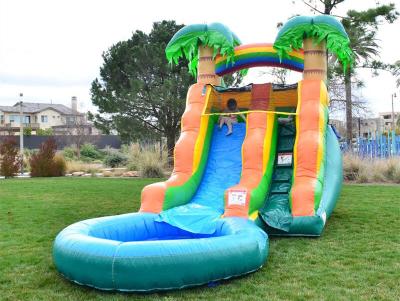 China OEM Plato PVC Outdoor Inflatable Water Slide For Children for sale