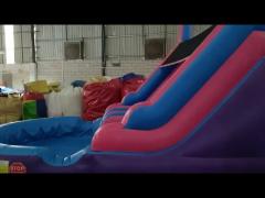 king26  Inflatable Water Double Lanes Slide