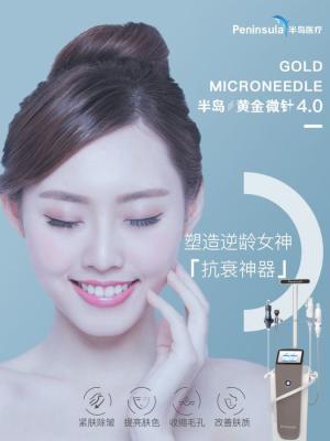 China Skin Tighten Microneedle Rf Machine for sale