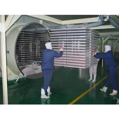 China Economic Lyophilizer Machine Pharmaceutical Lyophilizer Freeze Dryer Machine Plant for sale