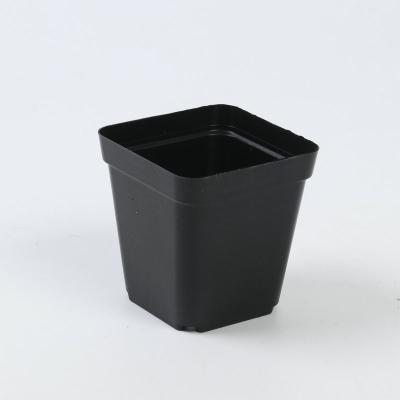 Китай Series 11  Plstic flower pots square black продается