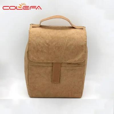 China Brown Dupont Tyvek Paper Lunch Cooler Bag Custom Aluminium Foil Thermal Insulation for sale