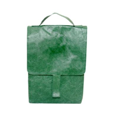 China Eco-friendly Dupont Picnic Cooler Bag Waterproof Tyvek Paper Insulated Lunch Bag for sale