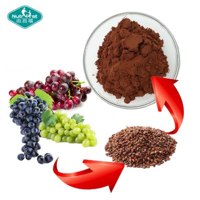 China OPC Proanthocyanidin Procyanidin 95 Grape Seed Extract for Anti-aging and AntiOxidant for sale