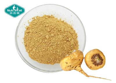China 100% Natural 4:1,10:1,20:1 Organic Peru Maca Root Extract Powder for sale
