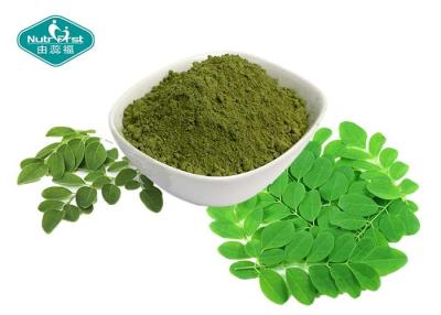 China Natural Moringa Powder / Moringa Leaf Extract Powder for Weight Loss for sale