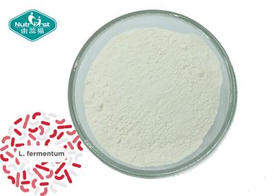 China Hot Sale Probiotic Strain Powder Lactobacillus Fermentum for Antioxidant Properties for sale