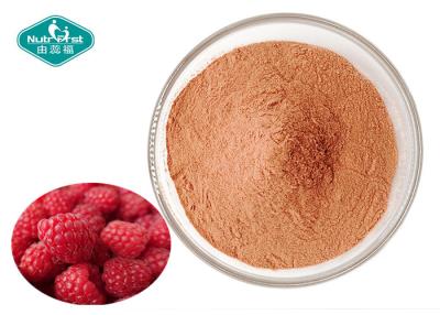 China Organic Freeze Dried Red Raspberry Powder Antioxidants Supplements for sale