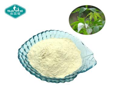 China Sweet Tea Extract 70% Rubusoside 100% Natural Sweetener with Low Calorie for sale