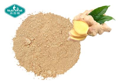 China Ginger Root Extract with 5 - 20% Gingerols for Arthritis Health and Flu Relief for sale