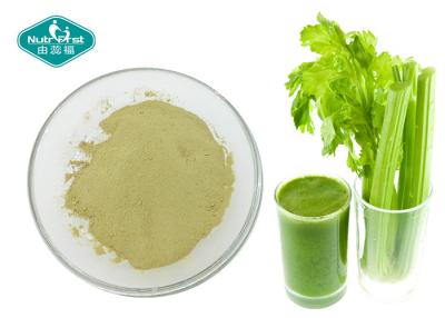 China Anti - Inflammatory Dried Celery Powder / Super Green Powder For Weight Loss for sale