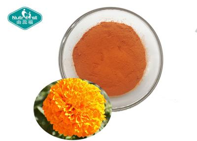 China Lutein and Zeaxanthin Marigold Extract Tagetes erecta L. Extract for Eye Health for sale