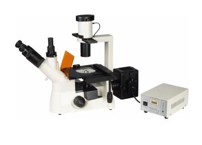 China Compensation Free Trinocular Inverted Fluorescence Microscope For Micro Research for sale