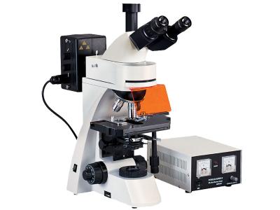 China Trinocular Led Epi Epifluorescent Microscope for sale