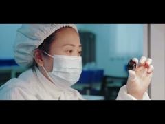 회사에 대한 도입