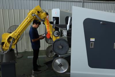 Chine machine de polonais de meulage de bras robotique de 380V FUNAC à vendre