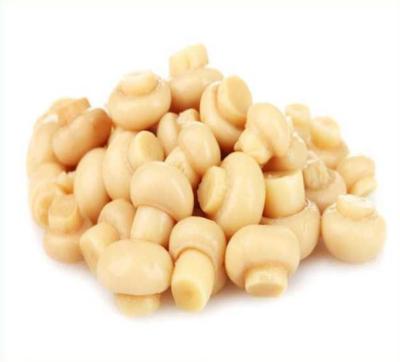 China Factory Price Premiun NEW CROP Canned Button Mushroom Whole in Brine (N.W 2840G,D.W.1800G) for sale