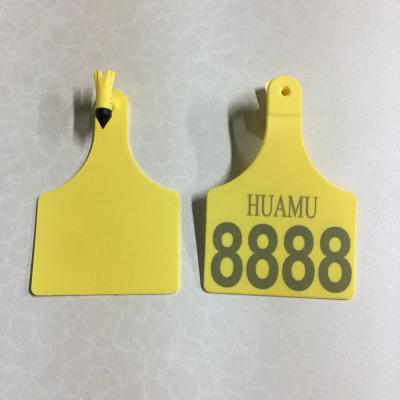 China Single Farms Livestock Agriculture Equipment Ear Tag Large Z Tag Cattle Ear Tag for sale