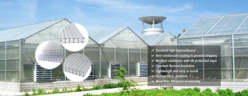Verified China supplier - Dilang PC Sheets Manufacturing Co., Ltd