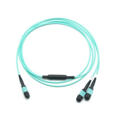 China 100Gbps 24F 50/125 OM3 LSZH MPO Standard loss 24F MPO (Female) to 2 x 12F MPO (Female) 50/125 OM3 trunk cable LSZH TYPE for sale