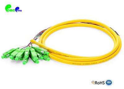 China 12F SC APC Pre - terminated  Pigtail SM 12F  Fiber Optic Pigtail OS2 G657A1 LSZH Jacket Breakout 0.9mm tail for sale