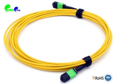 China SM 24F 10M MPO Female - MPO Female MPO Trunk Cable For 40G / 100G Data Center Solution for sale