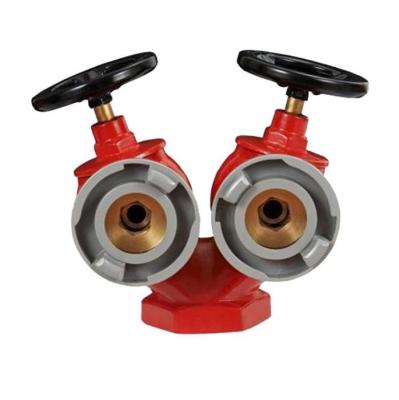 China 2 1/2 Inch Double Outlet Fire Hydrant Ductile Cast Iron Cabinet SNSS65 System for sale
