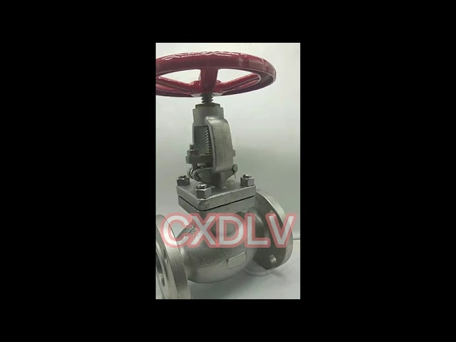 Stainless Steel Globe Valve with Handle Wheel