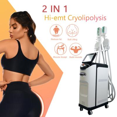 China Cryolipolyse EMS Machine 360 Cryo Fat Freezing Cellulite Removal for sale