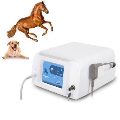 China Horse Veterinary Portable Ultrasound Shockwave Therapy Machine Pain Relief for sale