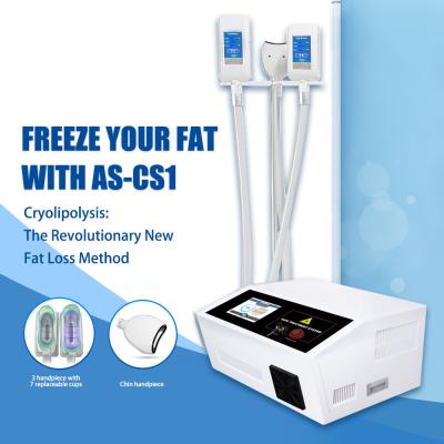 China Congelador gordo de Cryo de la máquina portátil de Cryolipolysis Lipo para Chin Fat Removal doble en venta