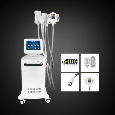 China 5 Handles Cryolipolysis Slimming Machine Belly Fat Reduction Machine for sale