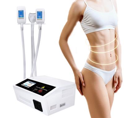 China Best 360 Fat Freezing Cryolipolisis Slimming Machine For Salon Personal Care for sale