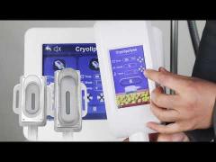 CRYOMAX Belly Burning High Efficient Cryolipolysis Slimming Machine