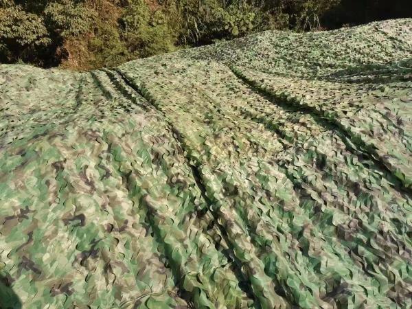 Quality 3m 10m Army Camo Net Mesh Outdoor Netting Fabric Mesh 6x8.8*10 for sale