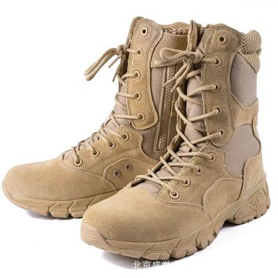 China Casual Brown Army Military Boot With Heel Non-Slip High-Top Men Training for sale