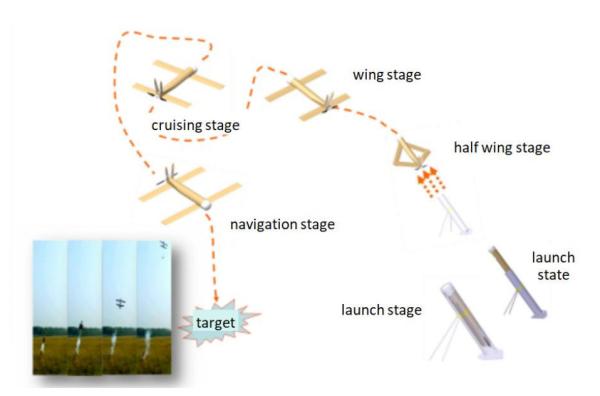 Quality Us Army Drone Military Air Strike Long Range Suicide for sale