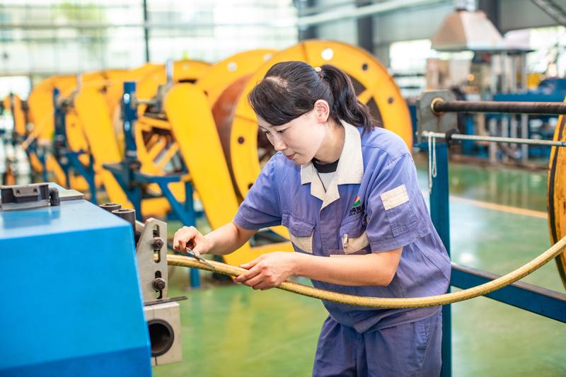 Fournisseur chinois vérifié - Shaanxi Kelong New Materials Technology Co., Ltd.