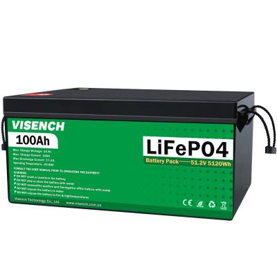 中国 Visench Rechargeable Lithium Ion Batteries 51.2V 100Ah 24 Volt Custom LiFePO4 Battery Pack 販売のため