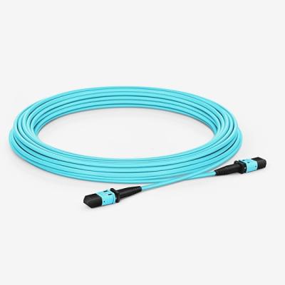 China Low PDL Om3 Fiber Patch Cord , MPO Female Type B LSZH Multimode Fiber Optic Cable for sale